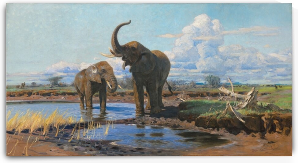 Elephants at a waterhole by Wilhelm Kuhnert [1865–1926] by MyCozyFineArt