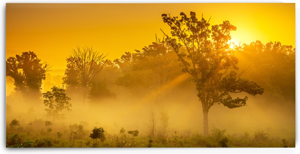 Misty Morning Glow: Dawn in Gettysburg by Dream World Images