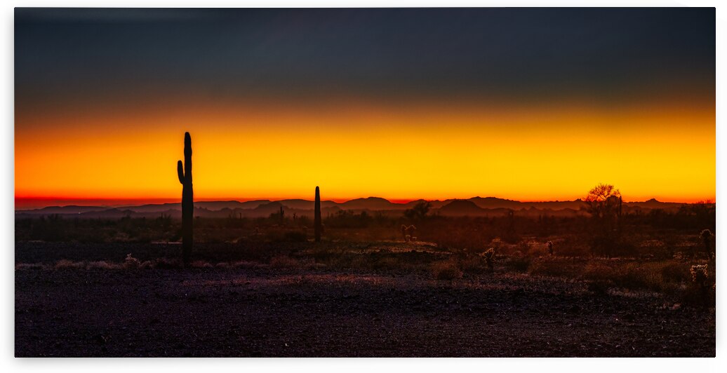 Deserts Goodnight Kiss by Dream World Images
