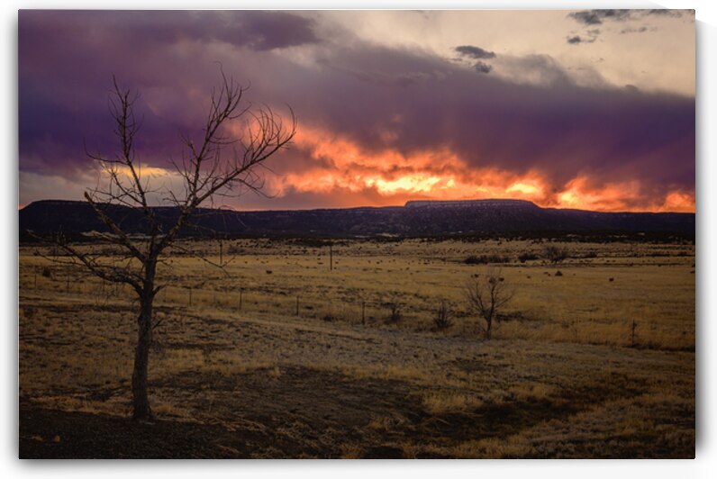 Heavens Blaze: Sunset Symphony in Cold Beer New Mexico by Dream World Images