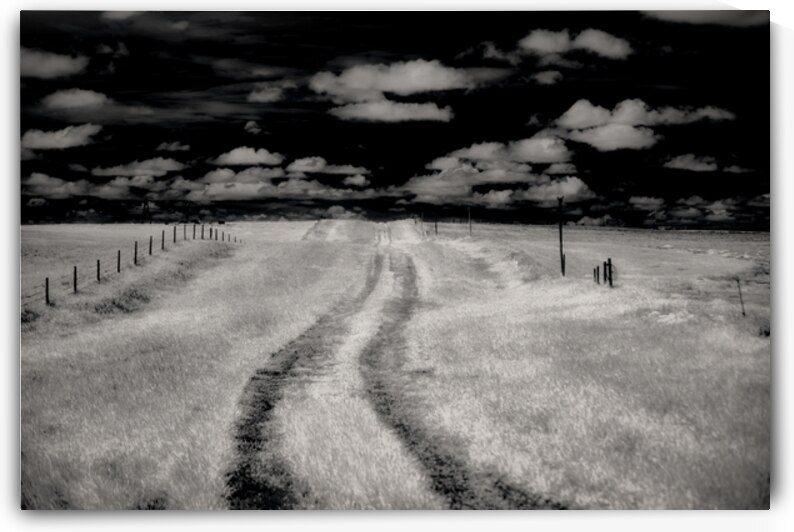 Prairies Eternal Path by Dream World Images
