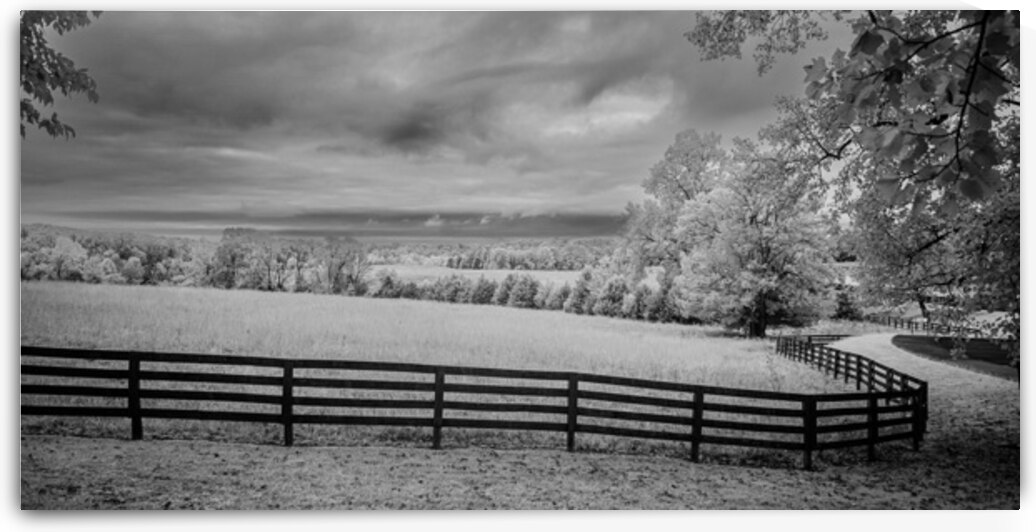 Lines of Legacy by Dream World Images