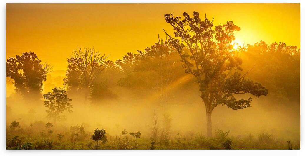 Misty Morning Glow: Dawn in Gettysburg by Dream World Images
