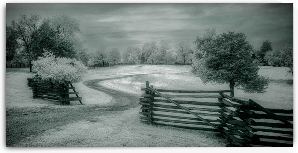 Surrenders Serenity by Dream World Images