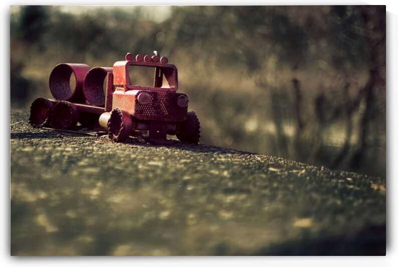 Childhoods Golden Hour by Dream World Images