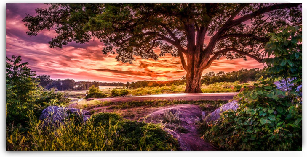 Fairytale Sunset by Dream World Images