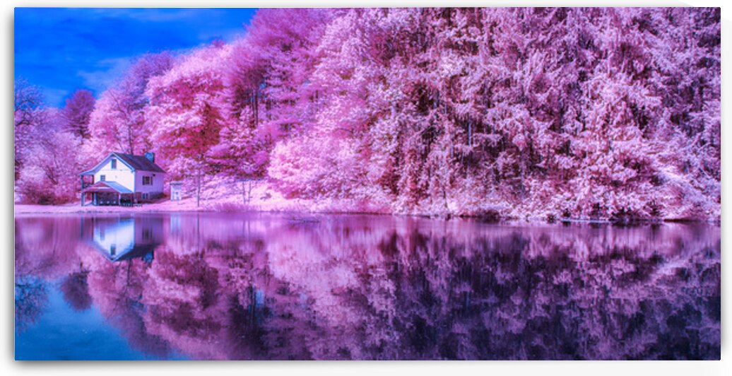 Mirror of Lavender Dreams by Dream World Images