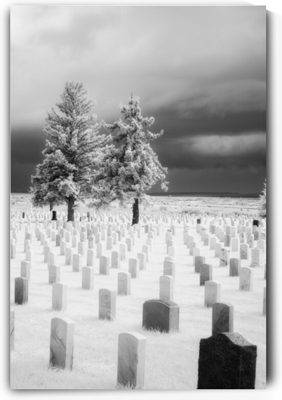 Guardians of Valor by Dream World Images