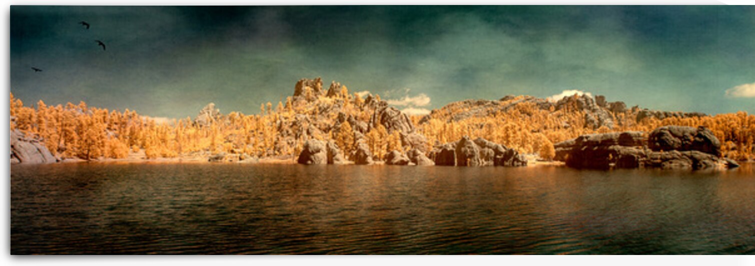 Sylvan Serenity: A Panoramic Odyssey at Custer State Park South by Dream World Images