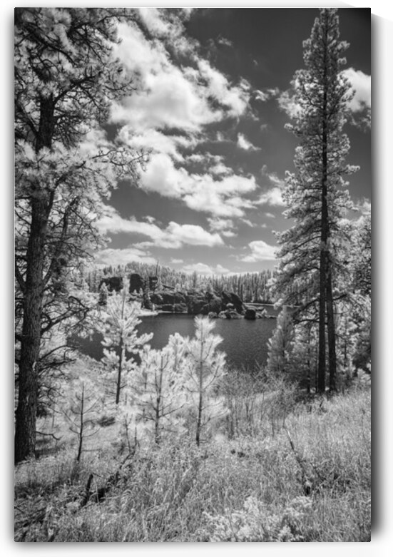 Sylvan Lake Overview by Dream World Images