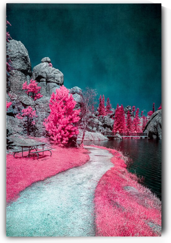 Solitary Trails: Pink Serene Trail by Dream World Images