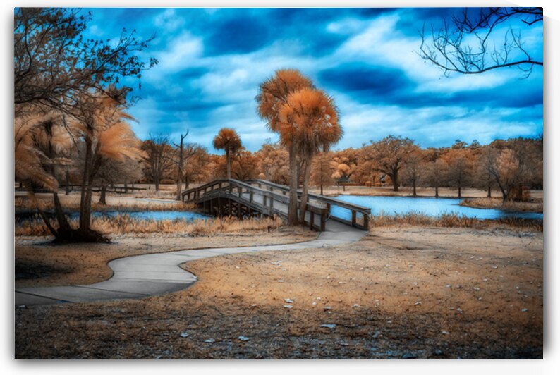 Mystical Tranquility: A Walk through Venetian Gardens in Leesbur by Dream World Images