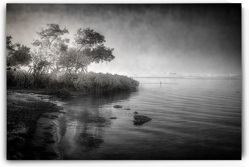 Tranquil Tides by Dream World Images