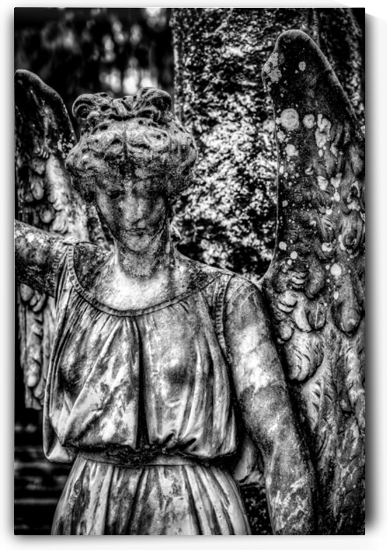 Silent Sorrow: Unveiling the Grieving Guardian at Oak Grove Ceme by Dream World Images