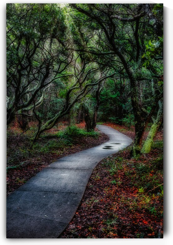 Solitary Trails: Melancholy Path by Dream World Images