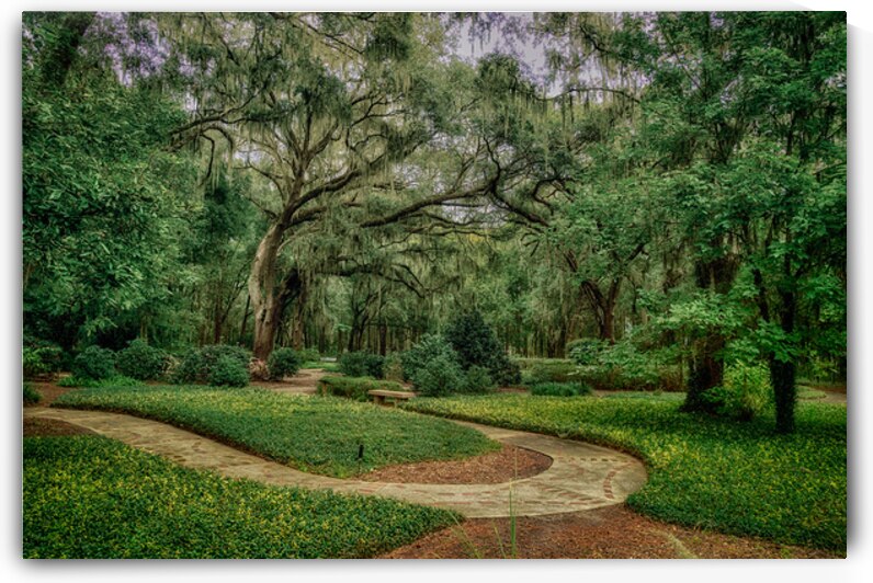 Labyrinths Promise by Dream World Images