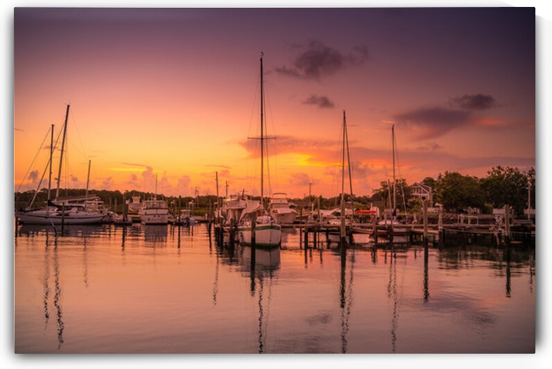 Tidal Treasures: A Visual Symphony of Beauforts Beauty by Dream World Images