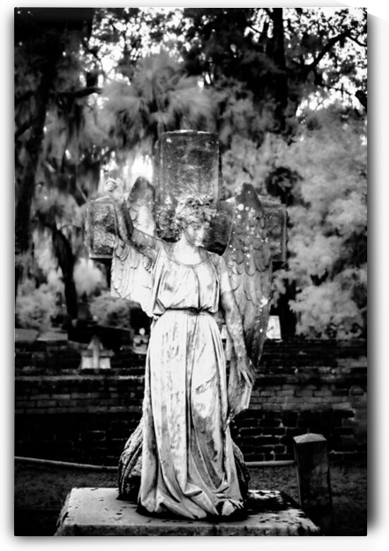 Guardian of Serenity: Unveiling Saint Marys Angel Light at Oak  by Dream World Images
