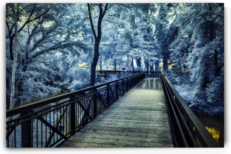 JOURNEYS THROUGH LYNCHBURG: EXPLORING JACK DANIELS AND BEYOND by Dream World Images