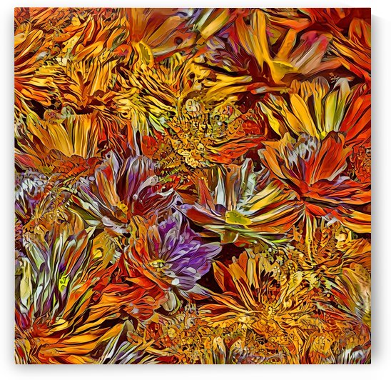 Autumn Chrysanthemums by HH Photography of Florida