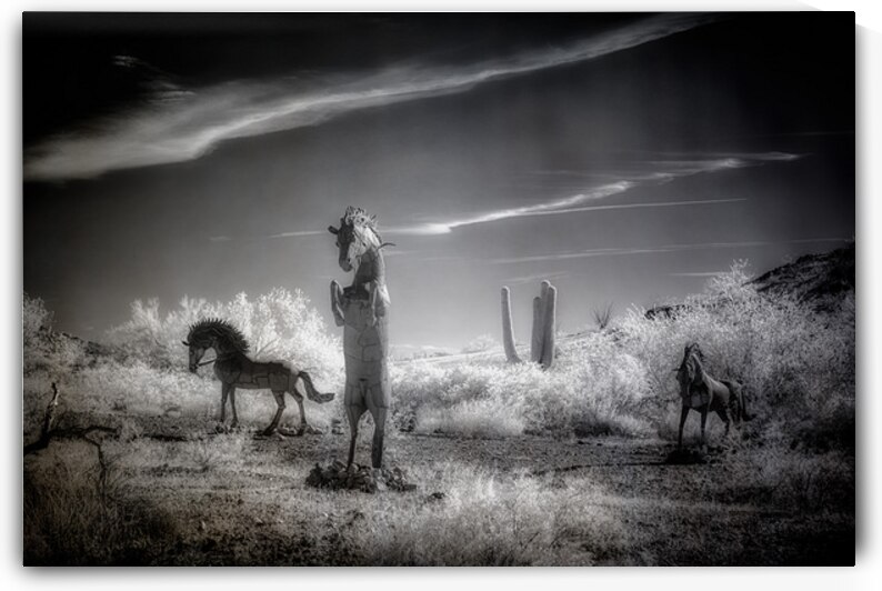 Desert Ballet of Metallic Steeds by Dream World Images
