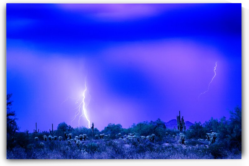 Arizona Blue Hour Desert Storm by Bo Insogna