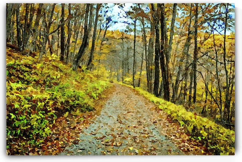 Watercolor art of a forest trail during autumn in vibrant foliage colors by Gestalt Imagery