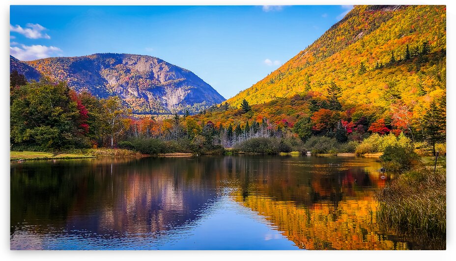 Mount Willard and Webster Cliff Reflection in Willey Pond in Cra by Jeff Folger