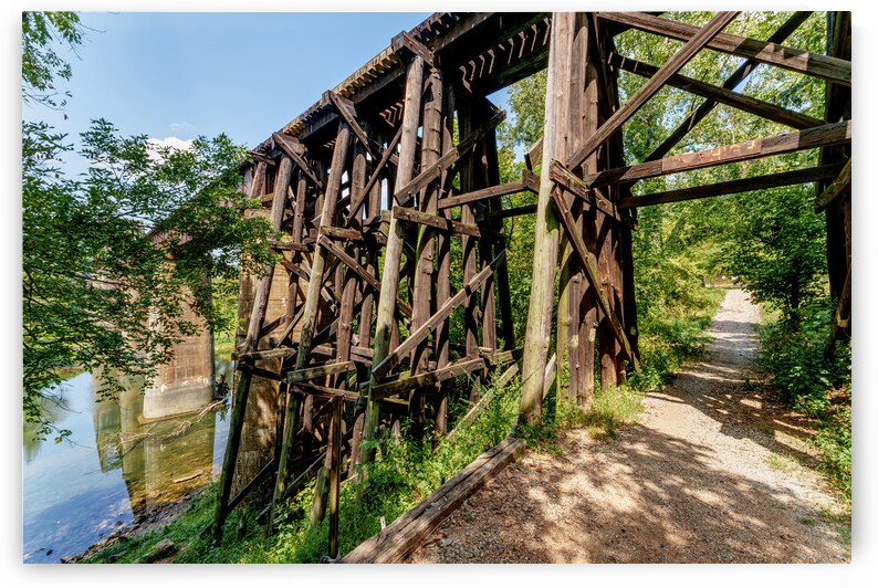Path Under Old Railroad Bridge by Jennifer White