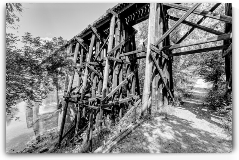 Path Under Old Railroad Bridge Grayscale by Jennifer White