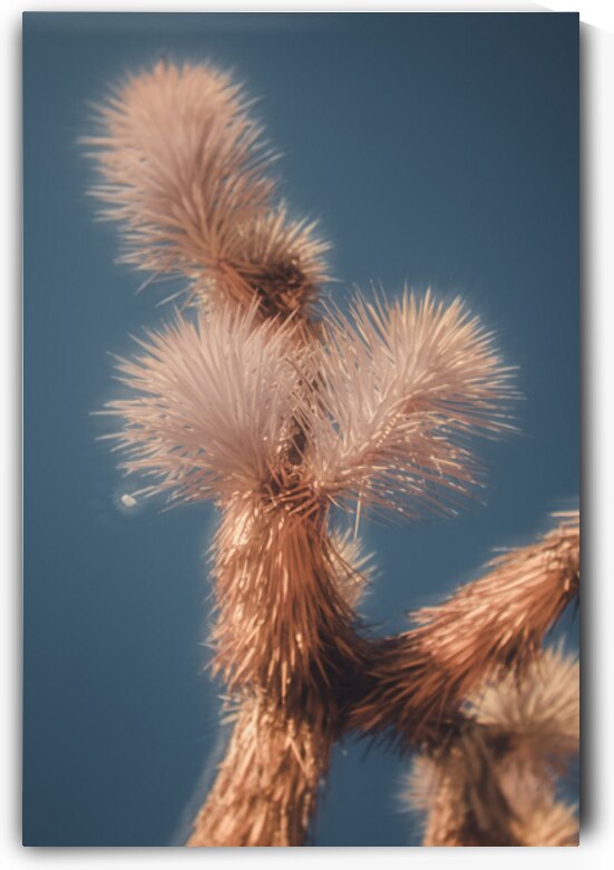 Textured Dance Beneath the Blue by Dream World Images