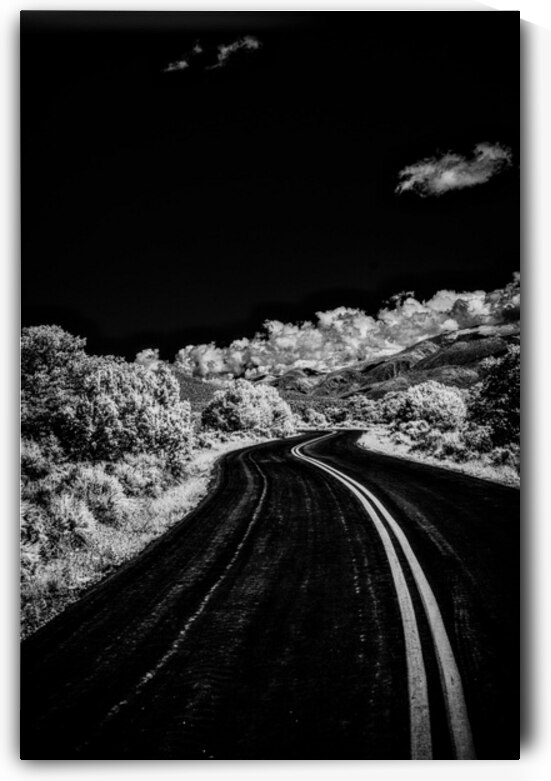 Symphony of Road and Foliage by Dream World Images