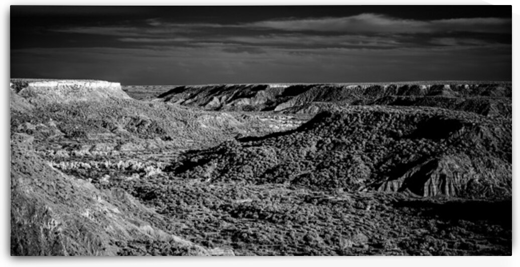 Unveiling Palo Duros Timeless Journey by Dream World Images