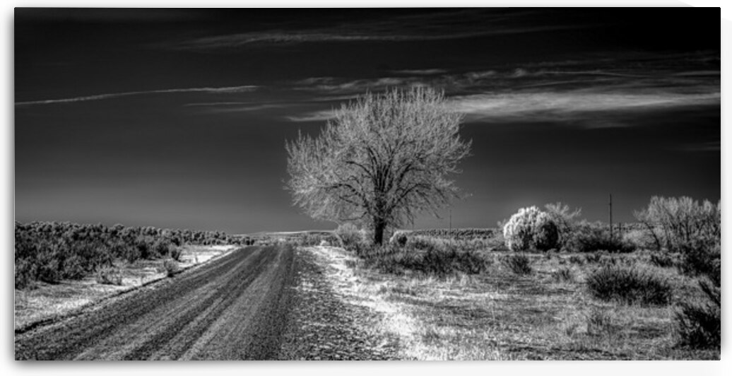 Ethereal Encounters: A Monochrome Journey Through Dawson New Mex by Dream World Images