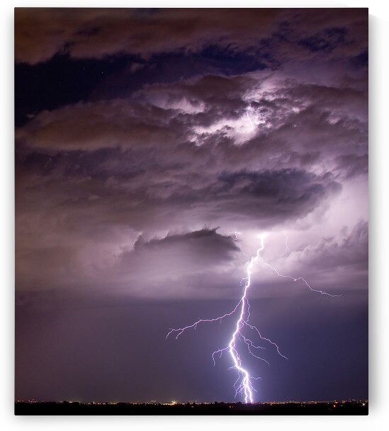 Starting High by Bo Insogna