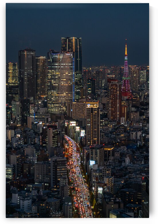 Busy Tokyo Downtown at Night by Andreas Wonisch