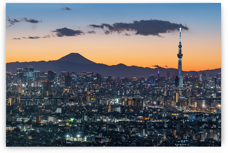 Tokyo Skytree and Mount Fuji at Nigh by Andreas Wonisch