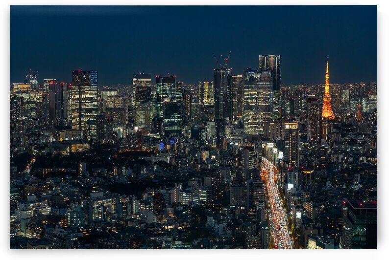 Tokyo Skyline at Night by Andreas Wonisch