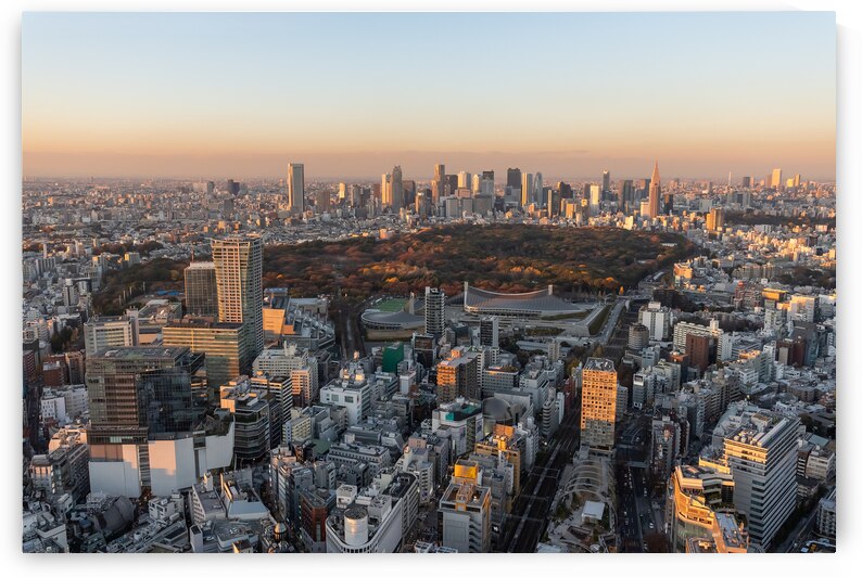 City of Tokyo during Sunset by Andreas Wonisch