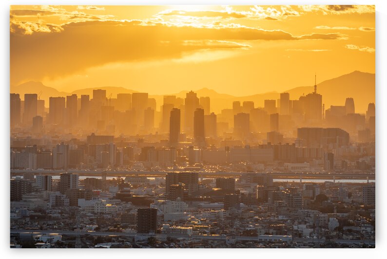 Tokyo Skyline Sunset by Andreas Wonisch
