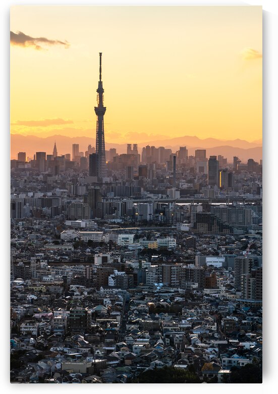 Tokyo Skytree Sunset by Andreas Wonisch