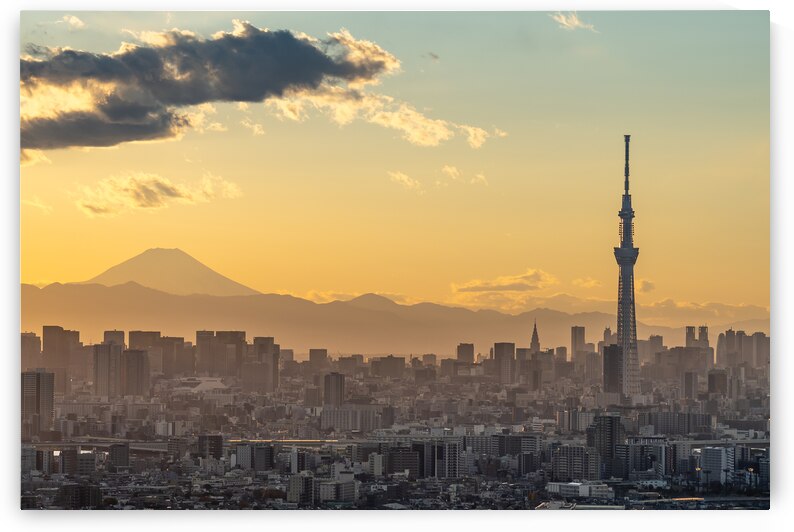 Tokyo Skytree and Mount Fuji during Sunset by Andreas Wonisch
