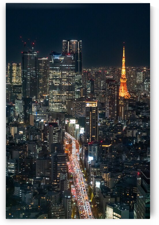 Tokyo Skyline with Tokyo Tower at Nigh by Andreas Wonisch