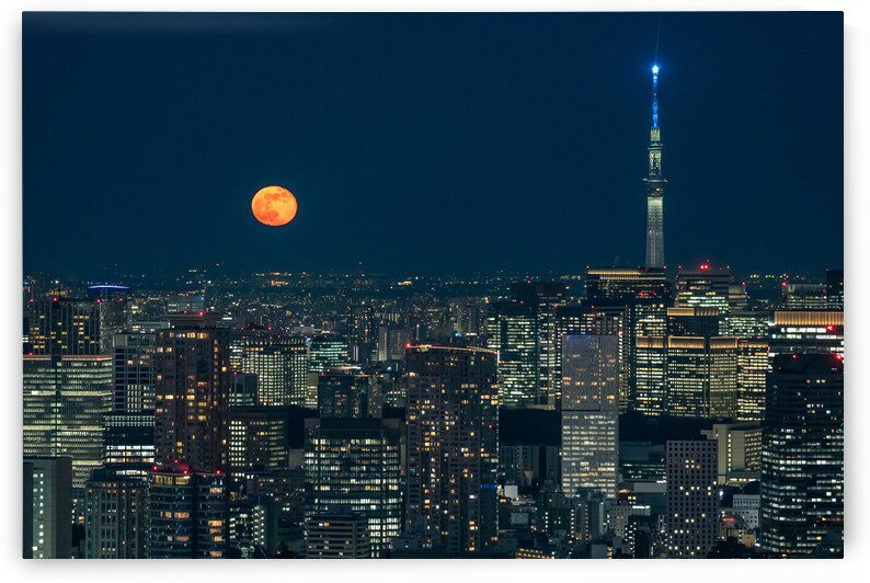 Tokyo Skytree and Full Moon at nigh by Andreas Wonisch