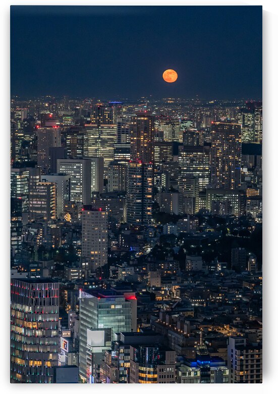Moonrise over Tokyo by Andreas Wonisch