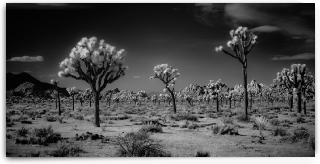Ghostly Terrain Under Infinite Sky by Dream World Images