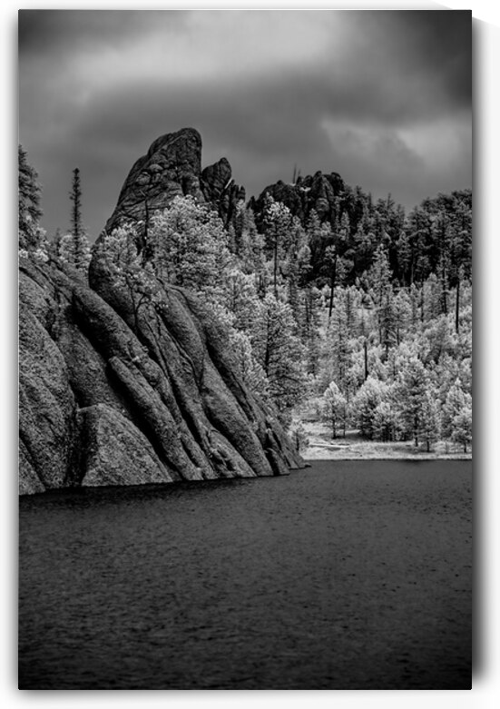 Sylvan Serenity: A Monochrome Tale of Natures Harmony in Custer  by Dream World Images