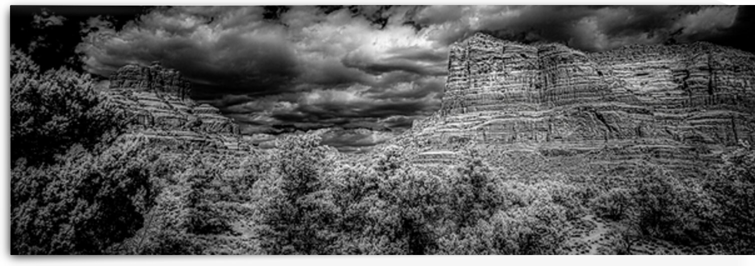 Desert Majesties in Monochrome by Dream World Images