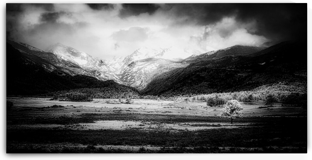 Mountains Embrace: Lone Valley Tree by Dream World Images