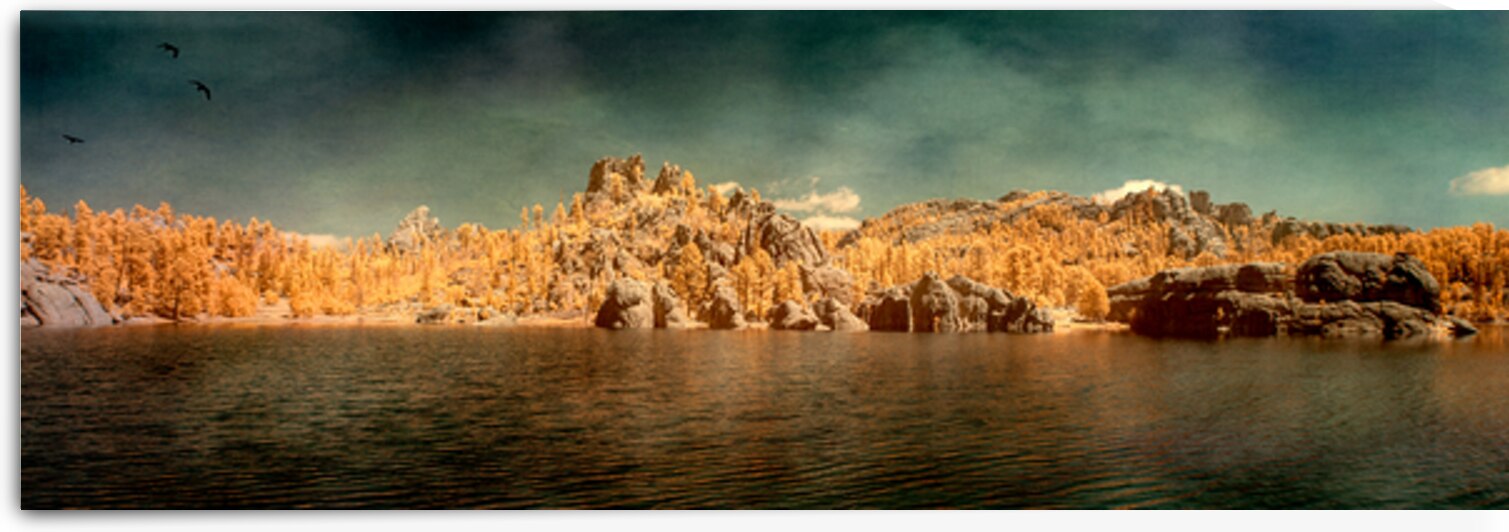 Sylvan Serenity: A Panoramic Odyssey at Custer State Park South by Dream World Images